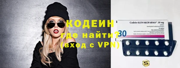 эйфоретик Вяземский