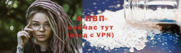 эйфоретик Вяземский