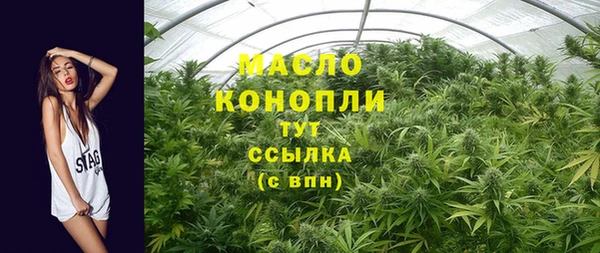 эйфоретик Вяземский