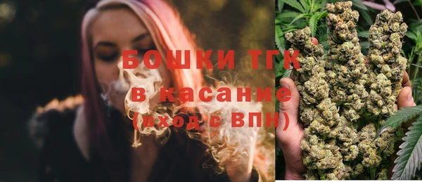 эйфоретик Вяземский