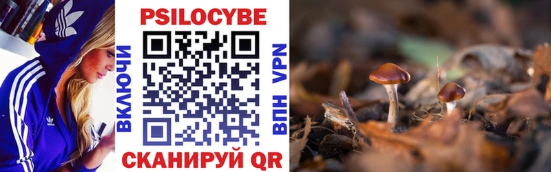 Псилоцибиновые грибы Cubensis  Ивдель 